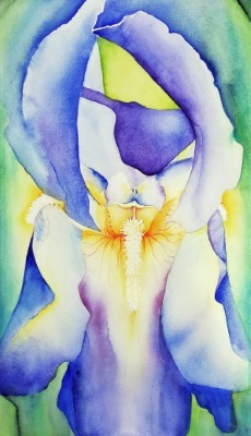 Aquarellbild einer abstrakter Irisblüten in bunten und leuchtenden Farben